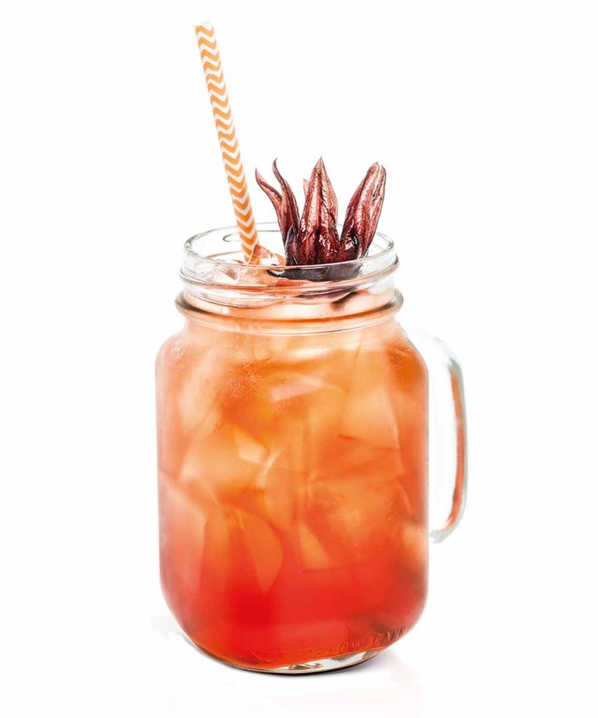 Hibiscus Lemonade Monin
